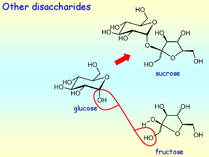 Other disaccharides sucrose glucose fructose 
