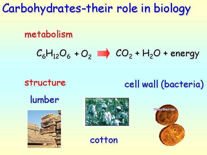 Carbohydrates-their role in biology metabolism C 6 H 12 O 6 + O 2