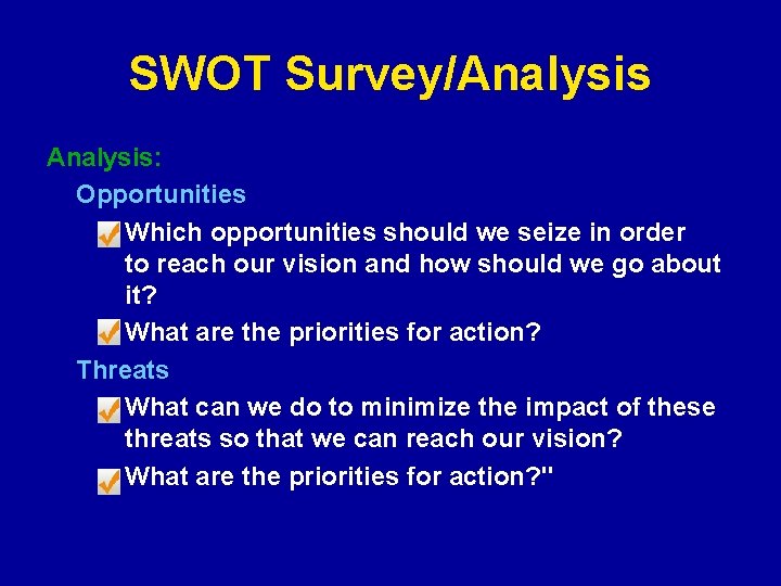 SWOT Survey/Analysis: Opportunities Which opportunities should we seize in order to reach our vision