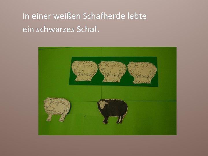 In einer weißen Schafherde lebte ein schwarzes Schaf. 