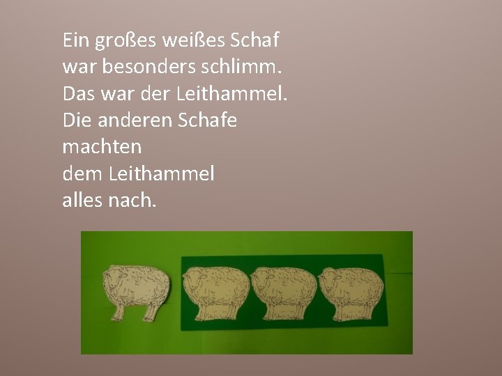 Ein großes weißes Schaf war besonders schlimm. Das war der Leithammel. Die anderen Schafe