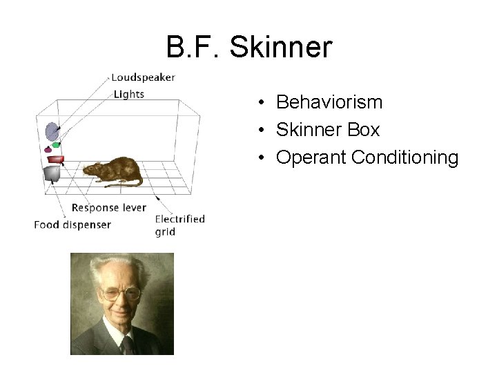 B. F. Skinner • Behaviorism • Skinner Box • Operant Conditioning 