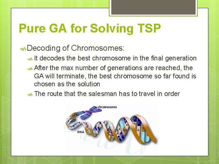 Pure GA for Solving TSP Decoding of Chromosomes: It decodes the best chromosome in