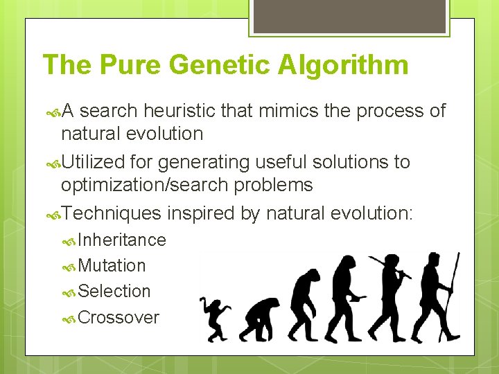 The Pure Genetic Algorithm A search heuristic that mimics the process of natural evolution