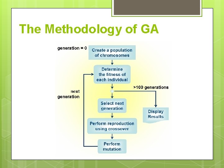 The Methodology of GA 