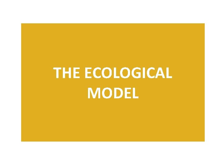 THE ECOLOGICAL MODEL 