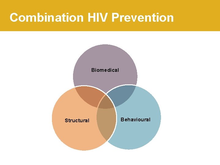 Combination HIV Prevention Biomedical Structural Behavioural 
