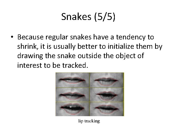 Snakes (5/5) • Because regular snakes have a tendency to shrink, it is usually