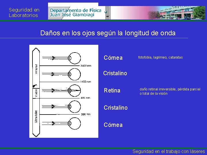 Seguridad en Laboratorios Daños en los ojos según la longitud de onda Córnea fotofobia,