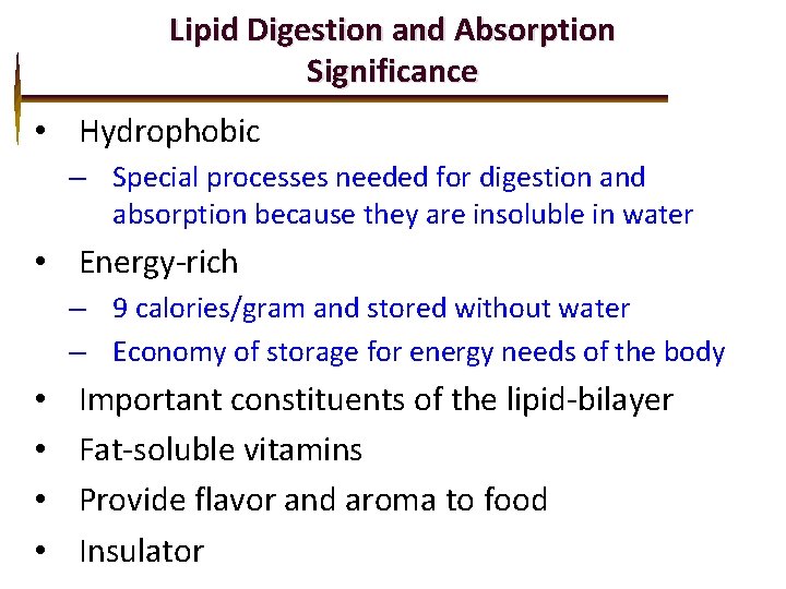Lipid Digestion and Absorption Significance • Hydrophobic – Special processes needed for digestion and