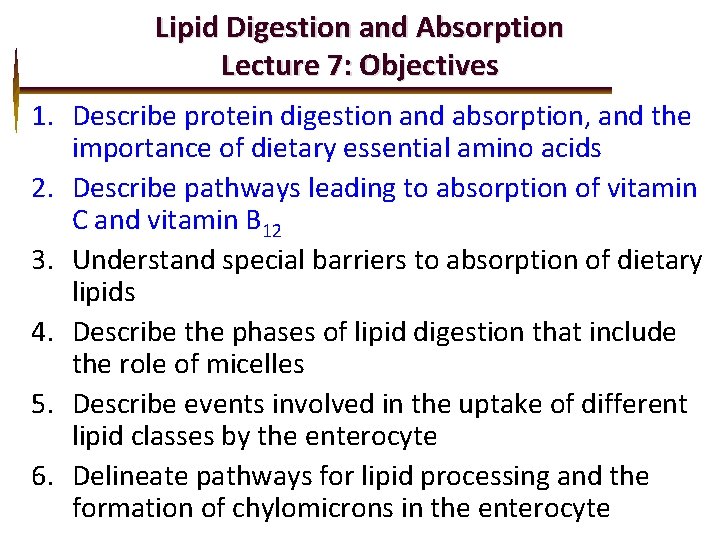 Lipid Digestion and Absorption Lecture 7: Objectives 1. Describe protein digestion and absorption, and
