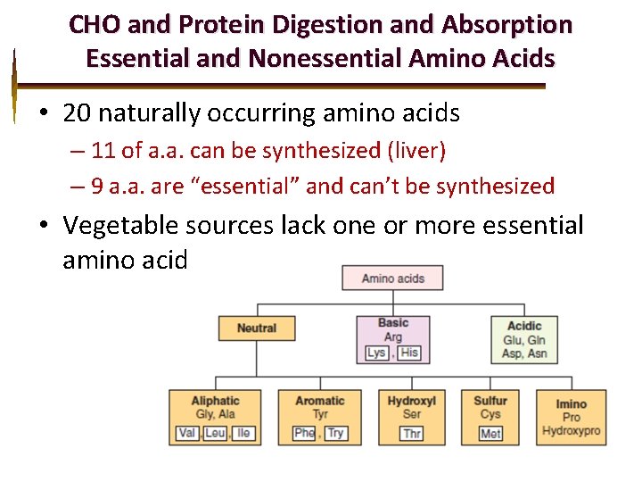 CHO and Protein Digestion and Absorption Essential and Nonessential Amino Acids • 20 naturally