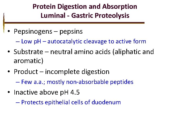 Protein Digestion and Absorption Luminal - Gastric Proteolysis • Pepsinogens – pepsins – Low