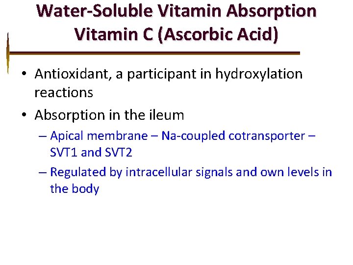 Water-Soluble Vitamin Absorption Vitamin C (Ascorbic Acid) • Antioxidant, a participant in hydroxylation reactions