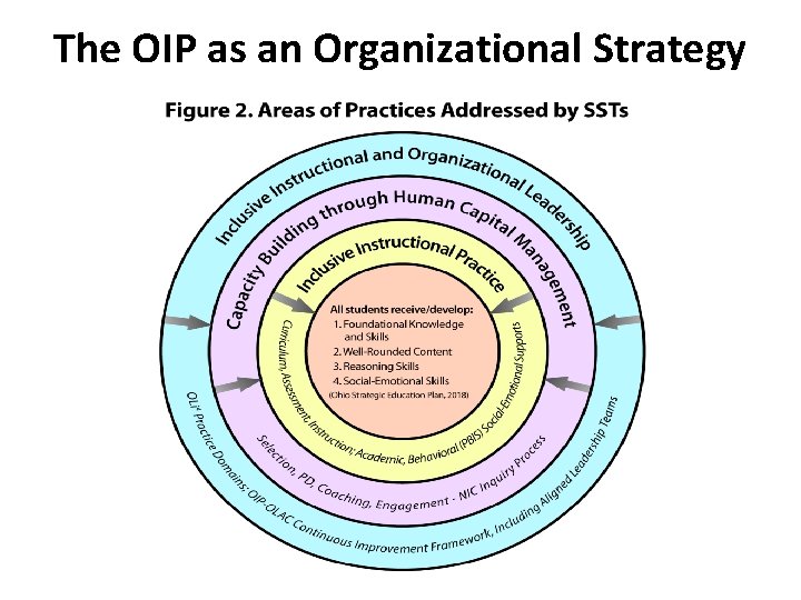 The OIP as an Organizational Strategy 