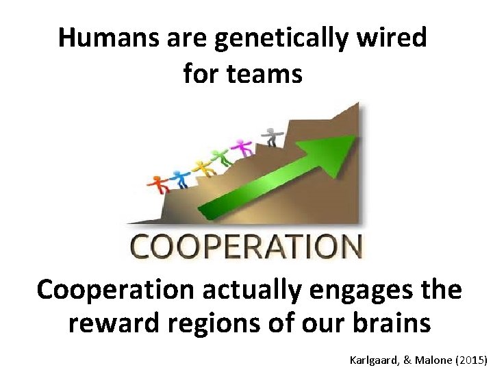 Humans are genetically wired for teams Cooperation actually engages the reward regions of our