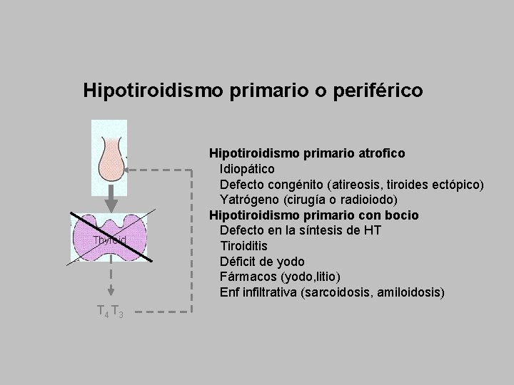 Hipotiroidismo primario o periférico Hipotiroidismo primario atrofico Idiopático Defecto congénito (atireosis, tiroides ectópico) Yatrógeno
