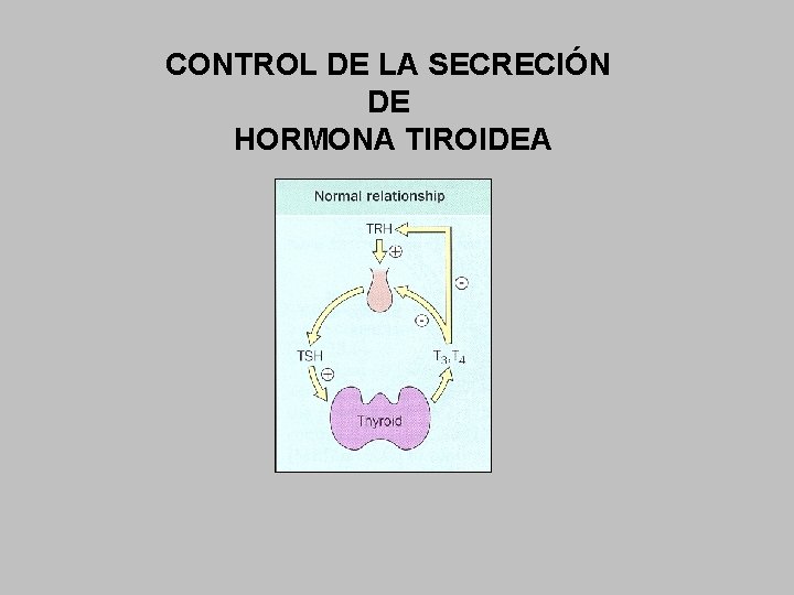 CONTROL DE LA SECRECIÓN DE HORMONA TIROIDEA 