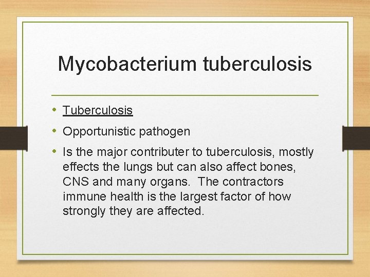 Mycobacterium tuberculosis • Tuberculosis • Opportunistic pathogen • Is the major contributer to tuberculosis,