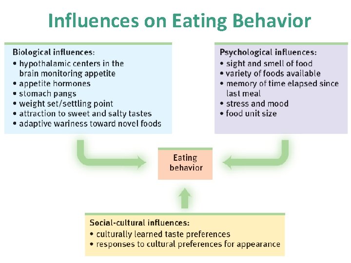 Influences on Eating Behavior 