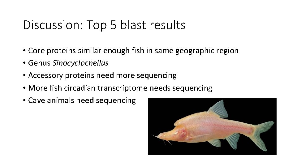 Discussion: Top 5 blast results • Core proteins similar enough fish in same geographic