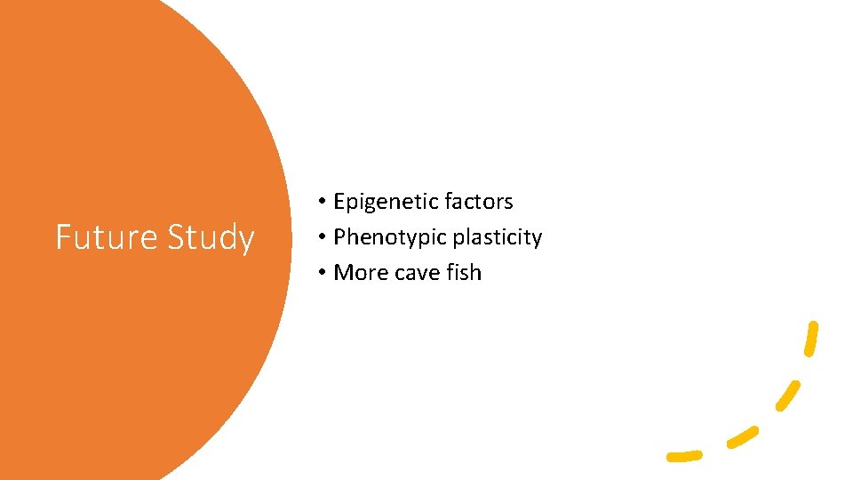 Future Study • Epigenetic factors • Phenotypic plasticity • More cave fish 