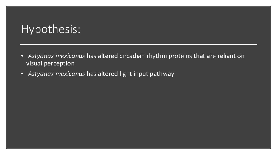 Hypothesis: • Astyanax mexicanus has altered circadian rhythm proteins that are reliant on visual
