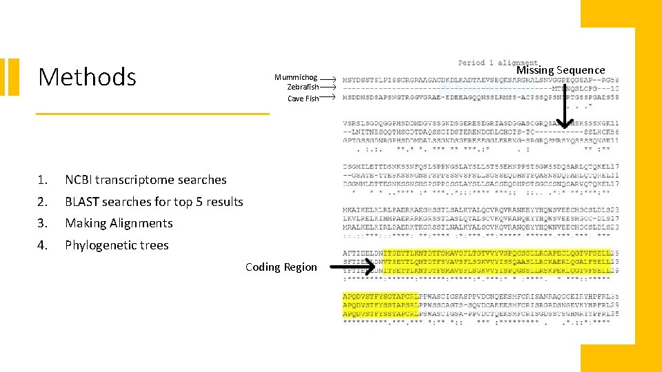 Methods 1. NCBI transcriptome searches 2. BLAST searches for top 5 results 3. Making