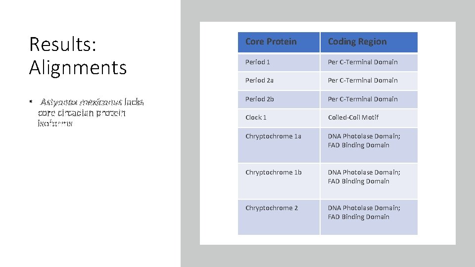 Results: Alignments • Astyanax mexicanus lacks core circadian protein isoforms Core Protein Coding Region