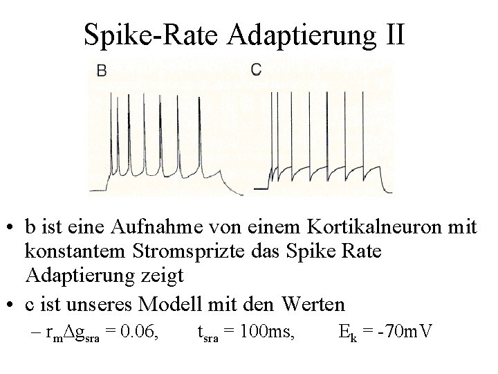 Spike-Rate Adaptierung II • b ist eine Aufnahme von einem Kortikalneuron mit konstantem Stromsprizte
