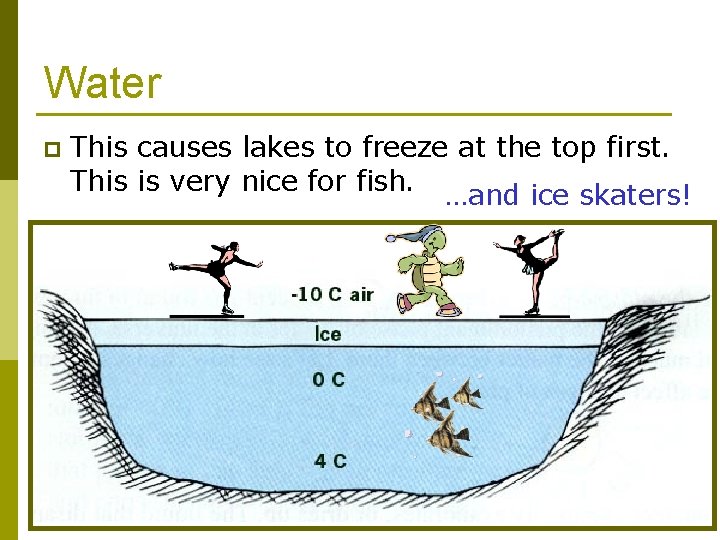 Water p This causes lakes to freeze at the top first. This is very