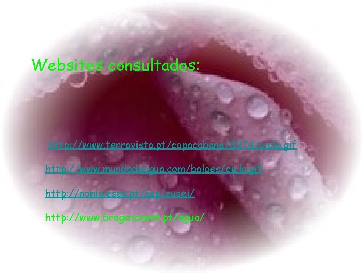 Websites consultados: http: //www. terravista. pt/copacabana/3974/ciclo. gif http: //www. mundodaagua. com/baloes/ciclo. gif http: //nonio.