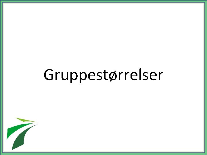 Gruppestørrelser 