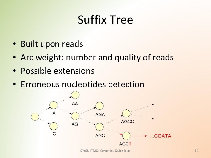 Suffix Tree • • Built upon reads Arc weight: number and quality of reads
