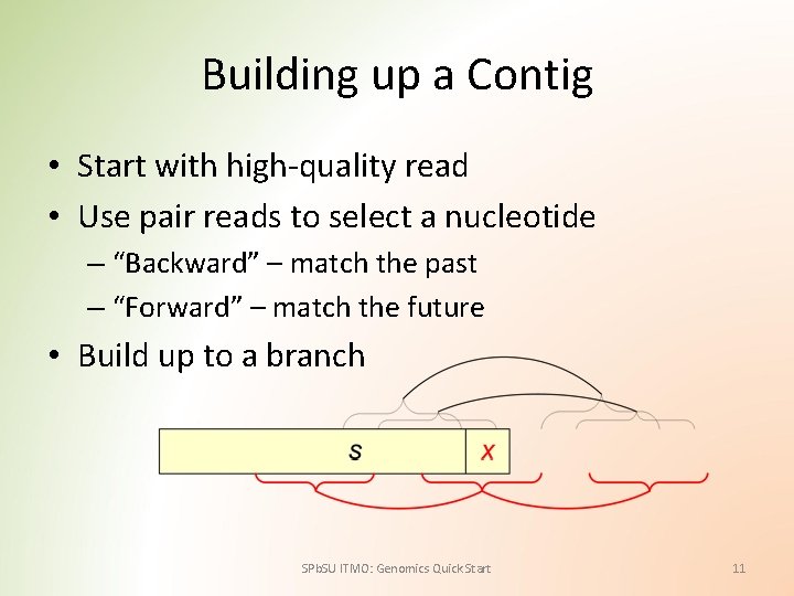 Building up a Contig • Start with high-quality read • Use pair reads to