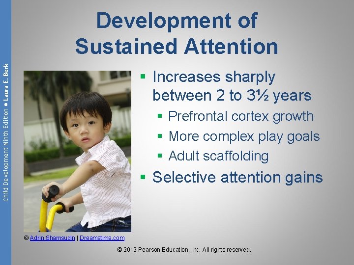 Child Development Ninth Edition ● Laura E. Berk Development of Sustained Attention § Increases