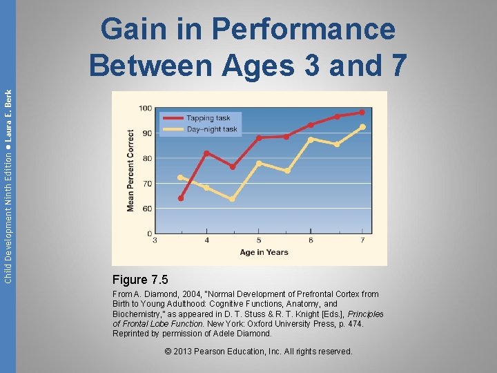 Child Development Ninth Edition ● Laura E. Berk Gain in Performance Between Ages 3