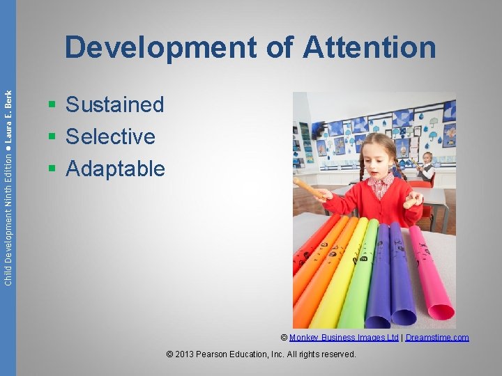 Child Development Ninth Edition ● Laura E. Berk Development of Attention § Sustained §