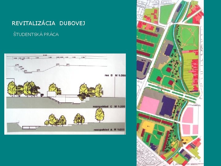 REVITALIZÁCIA DUBOVEJ ŠTUDENTSKÁ PRÁCA 
