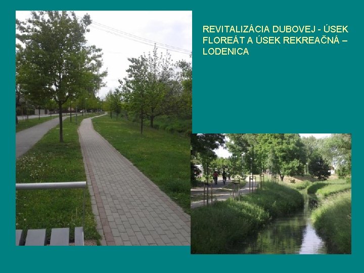 REVITALIZÁCIA DUBOVEJ - ÚSEK FLOREÁT A ÚSEK REKREAČNÁ – LODENICA 