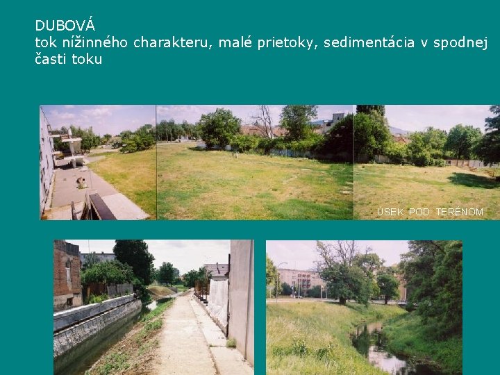 DUBOVÁ tok nížinného charakteru, malé prietoky, sedimentácia v spodnej časti toku ÚSEK POD TERÉNOM