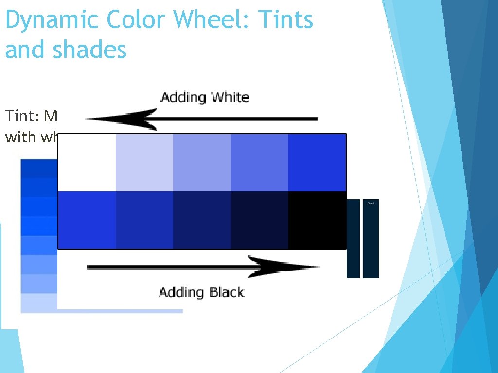 Dynamic Color Wheel: Tints and shades Tint: Mixing a pure hue with white Shade: