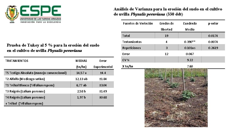 Análisis de Varianza para la erosión del suelo en el cultivo de uvilla Physalis