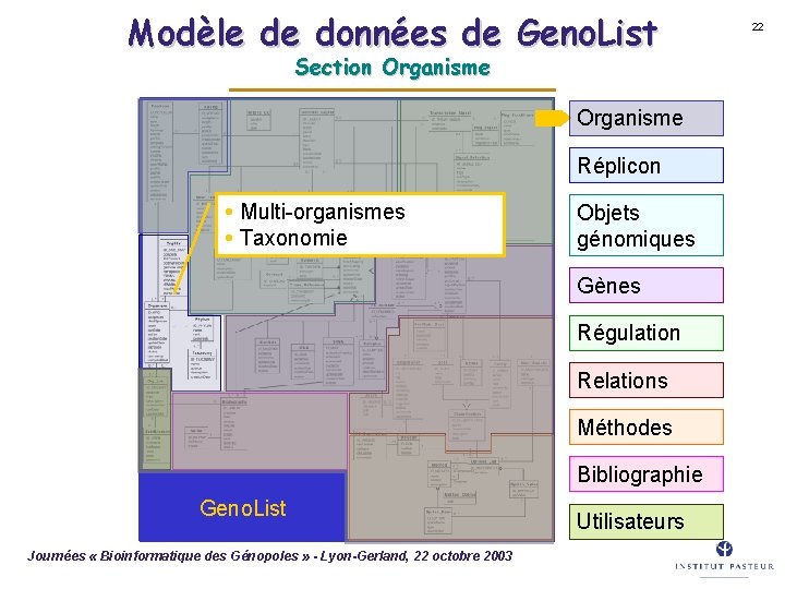 Modèle de données de Geno. List Section Organisme Réplicon Multi-organismes Taxonomie Objets génomiques Gènes