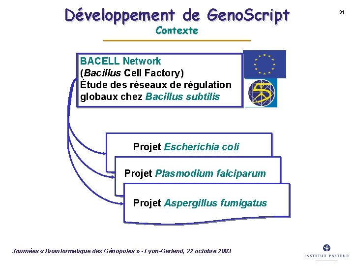 Développement de Geno. Script Contexte BACELL Network (Bacillus Cell Factory) Étude des réseaux de