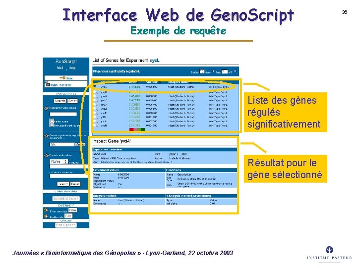 Interface Web de Geno. Script Exemple de requête Liste des gènes régulés significativement Résultat