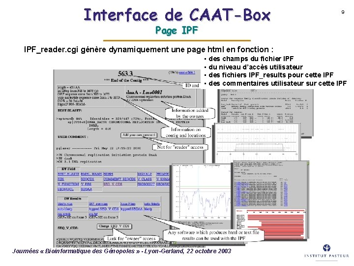 Interface de CAAT-Box 9 Page IPF_reader. cgi génère dynamiquement une page html en fonction