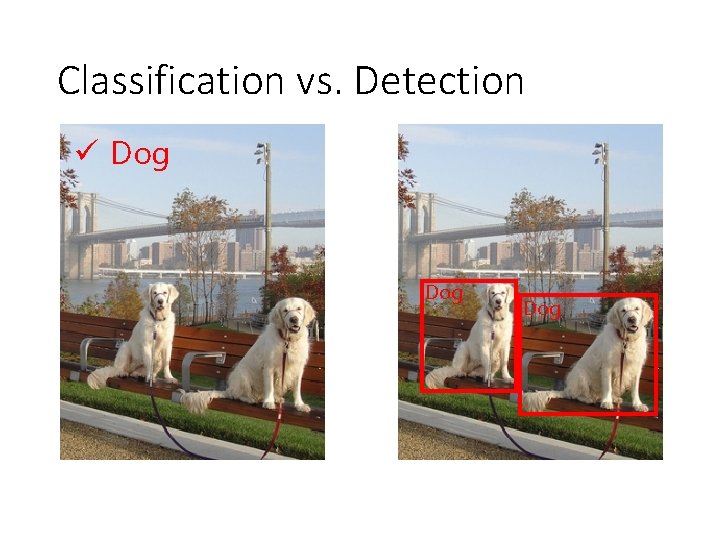 Classification vs. Detection ü Dog Dog Classification vs. Detection ü Dog Dog
