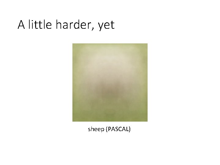 A little harder, yet sheep (PASCAL) A little harder, yet sheep (PASCAL)