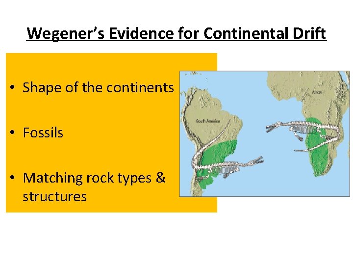 Wegener’s Evidence for Continental Drift • Shape of the continents • Fossils • Matching